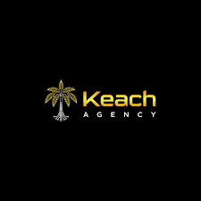 Web Development Agency